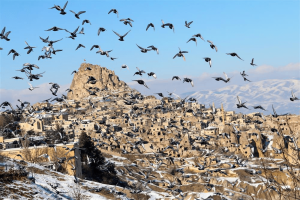 DAYTIME ACTIVITIES IN CAPPADOCIA-1